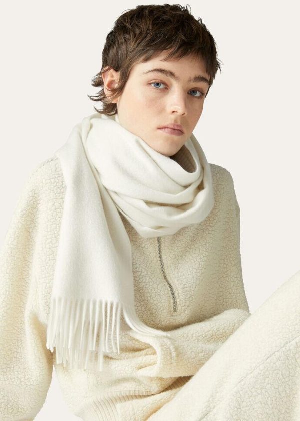 Alexiasuarez.shopf4d2912548 1